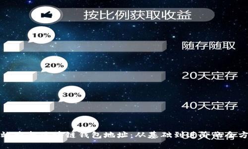 如何高效查找区块链钱包地址：从基础到进阶的全方位指南
