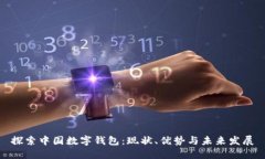 探索中国数字钱包：现状