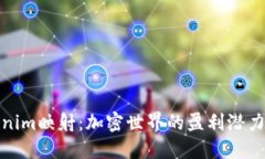 Tokenim映射：加密世界的盈