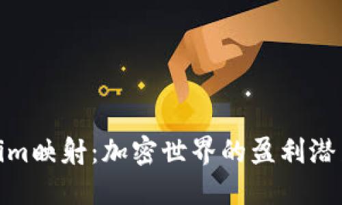 Tokenim映射：加密世界的盈利潜力探秘