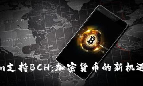 Tokenim支持BCH：加密货币的新机遇与挑战