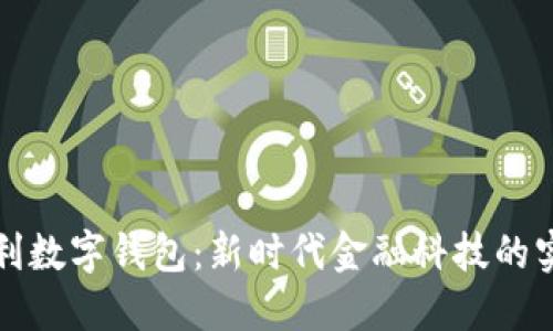 央行红利数字钱包：新时代金融科技的实用指南