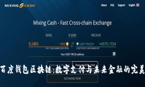 探索百度钱包区块链：数字支付与未来金融的完美结合
