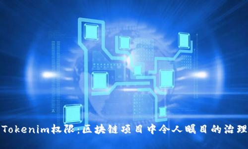 解密Tokenim权限：区块链项目中令人瞩目的治理机制