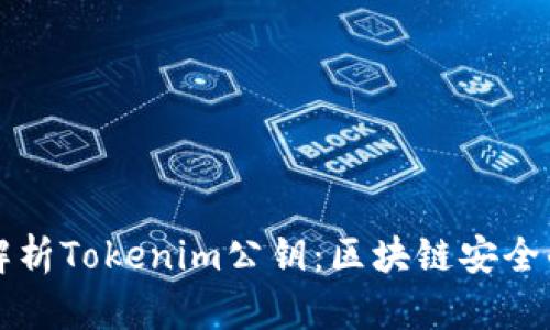 深入解析Tokenim公钥：区块链安全的基石