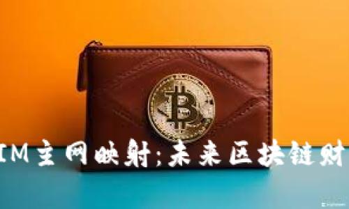 解密TokenIM主网映射：未来区块链财富的新机会
