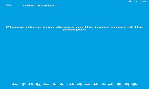 数字钱包的未来：流通现状与发展前景