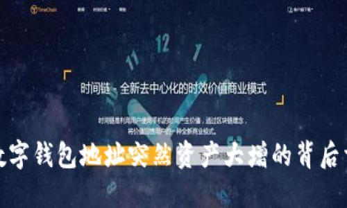 : 数字钱包地址突然资产大增的背后玄机