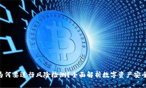 Tokenim为何要进行风险检测？全面解析数字资产安全的重要性