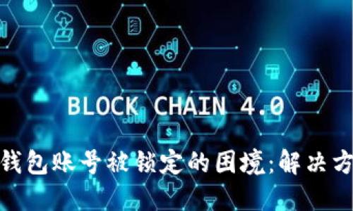 如何应对数字钱包账号被锁定的困境：解决方案与预防措施