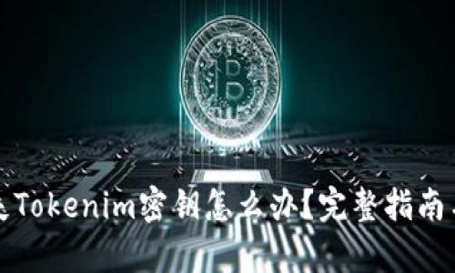 ### 丢失Tokenim密钥怎么办？完整指南与恢复策略