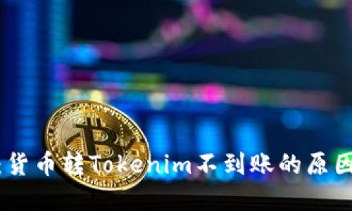 : 全景扫描：货币转Tokenim不到账的原因及解决方案