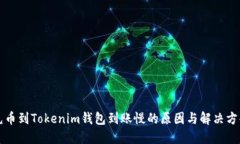 充币到Tokenim钱包到账慢的