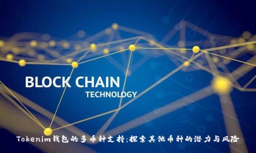 Tokenim钱包的多币种支持：探索其他币种的潜力与风险