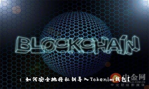 : 如何安全地将私钥导入Tokenim钱包？