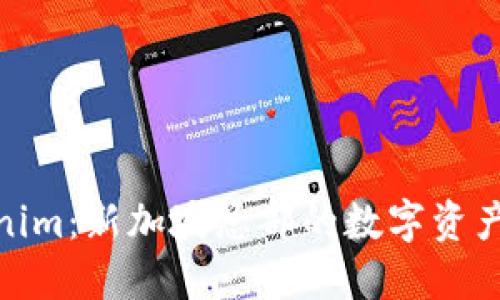 探索Tokenim：新加坡总部的数字资产先锋之路