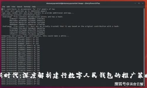 数字化新时代：深度解析建行数字人民钱包的推广策略与前景