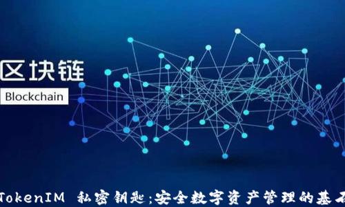 TokenIM 私密钥匙:安全数字资产管理的基石