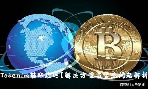 Tokenim转账延迟？解决方案与常见问题解析