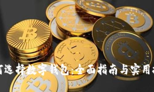 如何选择数字钱包：全面指南与实用技巧