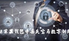 如何解决苹果钱包中丢失