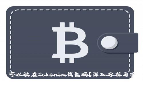 比特币可以放在Tokenim钱包吗？深入分析与实用指南