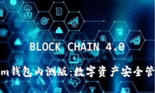 探索Tokenim钱包内测版：数字资产安全管理的新选择