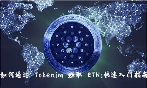 如何通过 Tokenim 赚取 ETH：快速入门指南
