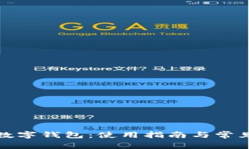 探索厦门数字钱包：使用指南与常见问题解答